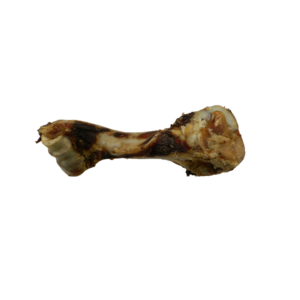 Dino