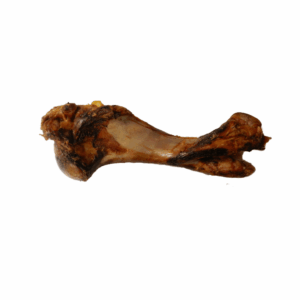 Paardendino