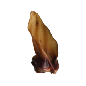 Runderoor met vlees
