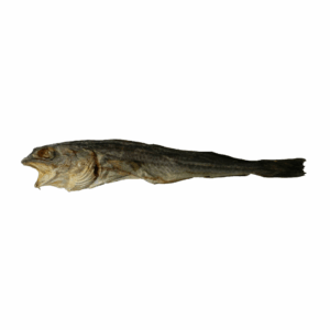 Stockvis