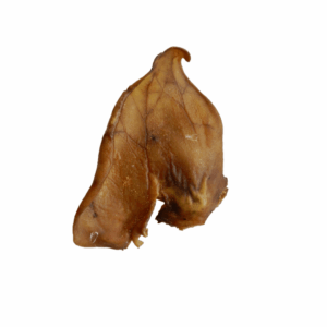 Varkensoor