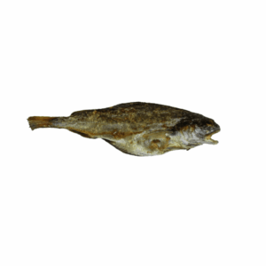 Wijting
