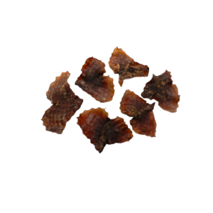 Squidwings